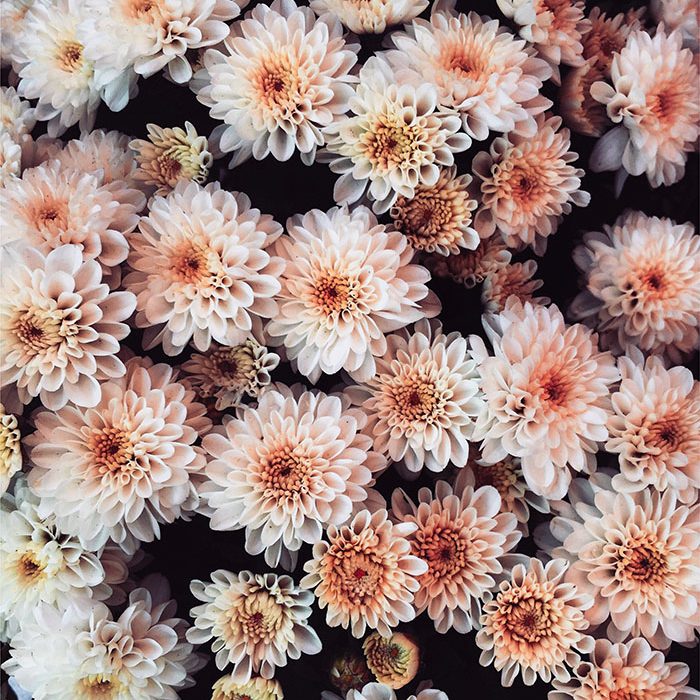 instagram_Publication 2 copie